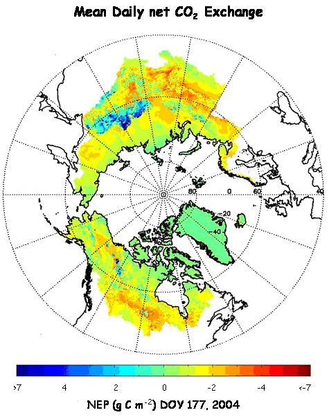Prototype application of a new MODIS-AMSR-E sensor based remote sensing algorithm for daily mapping of land-atmosphere net CO2 exchange (NEE) for the pan-Arctic.