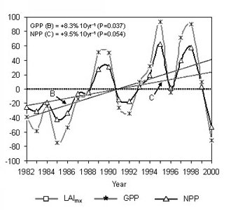 Trends in spatially averaged annual GPP (B) and NPP (C) as derived from NOAA AVHRR Pathfinder mean monthly observations and Production Efficiency Model (PEM) calculations for theWALE domain; annual anomalies represent differences from average (1982–2000) annual conditions.