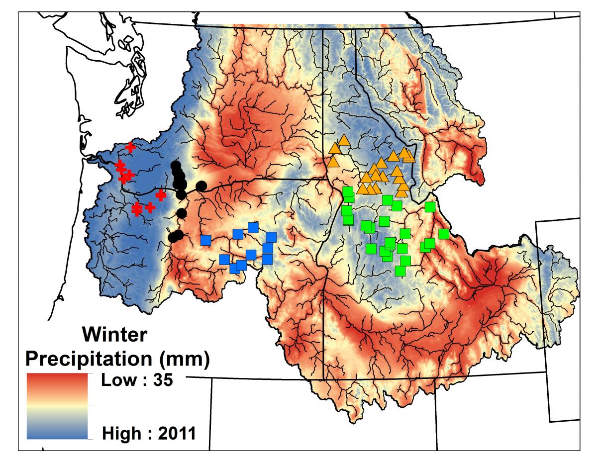 Map of the five metapopulations (study areas) of steelhead relative to winter populations of steelhead